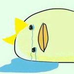 [댓글부탁해] 댓글 부탁해)14층 사는 오빠있는데 소름돋아