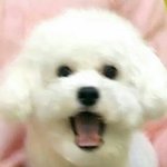 [EXO] 조카보면 쌀<b>유가</b> 부추기고있어
