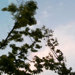 [EXO] 스포) <b>미방</b>ㅇㅇ 보보 죽는순서