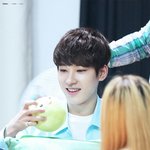 [세븐틴] <b>밑글</b> ㅂㅁㄱ 짤털 하트하트