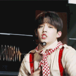 [세븐틴] ㅅㄷ 아 모기