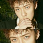 [EXO] ㅅㅂ오세훈