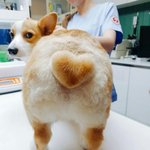 너네는 여기다가 애들 <b>실명</b>까놓고 욕할 수 있어?