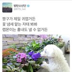 [방탄소년단] 아니 이거 대박웃기네