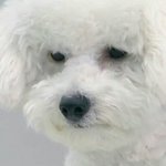 [댓글부탁해] +)우리 쪽팔린 썰 풀어<b>보자</b>ㅋㅋㅋㅋ