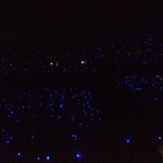 [위너] 정말 별거 없는 콘서트 후기 ㅋㅋㅋ