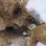 얼굴만 공략하는 상남자