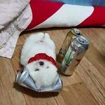 [댓글부탁해] 얘드라 까만피부 팁좀줘..... 나누자....