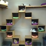 [시우민] (시우민)부동산 <b>재테크</b>에 성공한 슈냥이^>.<^