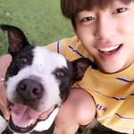 [BAP] +추가) 타팬인데 있잖아..