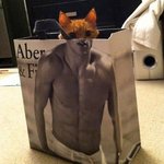 난쟁아 보고<b>시포</b>