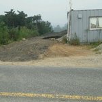 [<b>동행</b>세상] 들개로 태어난 새끼 3마리와 어미견 뽀순이.