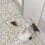 남의 현관문에 똥발라논 옆집