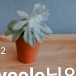 [EXO] 털었다는 ㄴㅇㅂ 아이디 블로그 쳐봤는데
