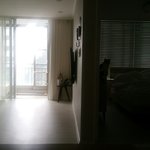 [고양이] 항상지켜보고있다냥~