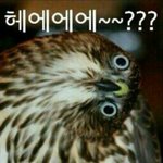 [EXO] 라창들 <b>손</b>으로 싼 <b>똥</b> 입으로 읽게 생겼네~~