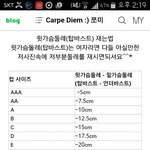 [드루와] 가슴 컵 재는법 (<b>줄자</b>필요)