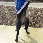 [꼬꼬상] <b>니</b>가 <b>니죄</b>를 알렸다!!