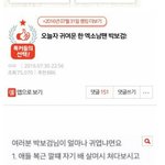 [EXO] 라창련들아 이런게 조작,루머의 <b>정석</b>이다
