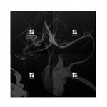 [방탄소년단] 융기 머리가 앨범따라가면...