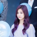 보라색으로 염색한 <b>쯔위</b>