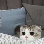 [드루와] 나요즘너무행복해