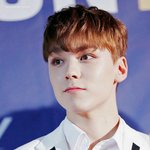 [세븐틴] ㅂㅅㄷ 캐럿덜 나 상황파악 안돼