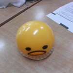 [드루와] 추가)내 친구 이마에 부항자국생김ㅋㅋㅋㅋㅋ