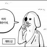 임신했어요