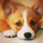 __오늘학원에<b>불남</b>ㅋㅋㅋㄱ;