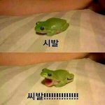 ㅅㅂ 친구때문에 죽기살기로 공부중