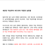 [세븐틴] 짹 총대야 총 정리 해봤어