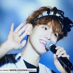 [백현] 엔딩 백혀니 중국 노래한다 ㅋㅋ