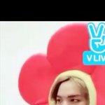 [방탄소년단] 호석이 실물본아미로써 그나마 비슷한사진