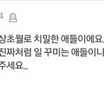 [세븐틴] 얘들아 ㅇㅌㅌ 톡선 올랐어!!(베플)