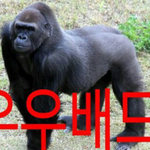 바나가 진짜 개쓰레기였구<b>낭</b>