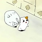 이번에 몇등정도 할까?