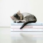 [조언부탁해] <b>생식</b>기관 사진 못 보겠는데 시험범위임