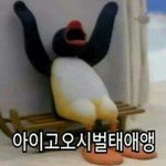 헐애드라병머<b>금안</b>돼는이유를알아냄