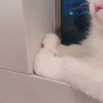 [댓글부탁해] 너네 <b>생리</b>전 <b>증후군</b>