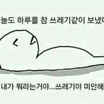 얘드람 코디 좀 도와줘