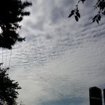 [드루와] <b>울산</b> 하늘에 이거 지진운 아니냐;;;;