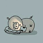 <b>씨잼</b>? 비아이? 얘네 유명해?