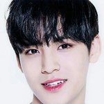 [세븐틴] 멤버별 레전드짤좀ㅠㅠ