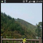 [조언부탁해] 아빠가 외도를하는거같은데어떻게해야할까요....