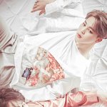 [방탄소년단] 정규앨범에 뱁새같이