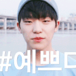 [세븐틴] 이날 애들 짤 개인별로 있는 사람?