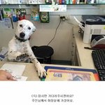 공대갈사람 있나??