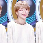 트와 <b>정연</b> 염색 개예쁨