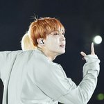 [방탄소년단] 내가본 홉이실물